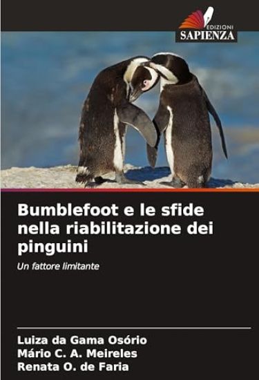 Bumblefoot e le sfide nella riabilitazione dei pinguini