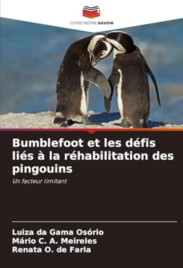 Bumblefoot et les défis liés à la réhabilitation des pingouins