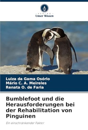 Bumblefoot und die Herausforderungen bei der Rehabilitation von Pinguinen