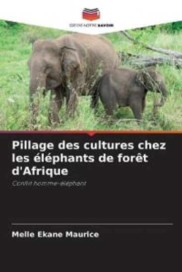 Pillage des cultures chez les éléphants de forêt d'Afrique
