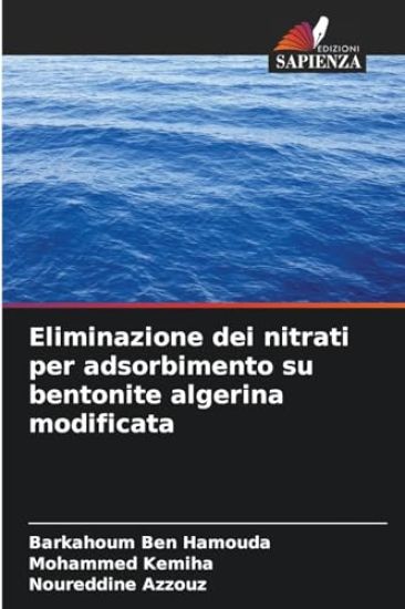 Eliminazione dei nitrati per adsorbimento su bentonite algerina modificata