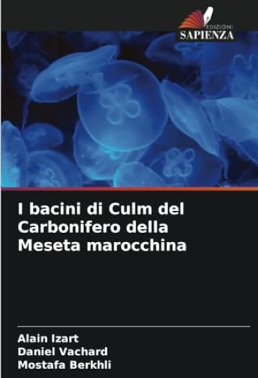I bacini di Culm del Carbonifero della Meseta marocchina
