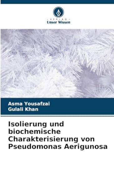 Isolierung und biochemische Charakterisierung von Pseudomonas Aerigunosa