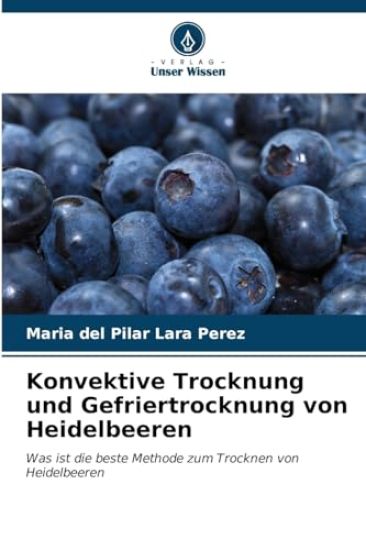 Konvektive Trocknung und Gefriertrocknung von Heidelbeeren