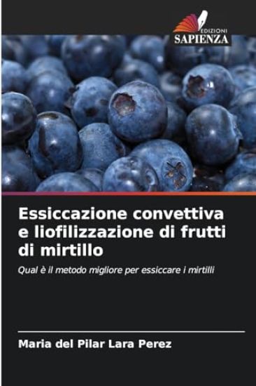 Essiccazione convettiva e liofilizzazione di frutti di mirtillo