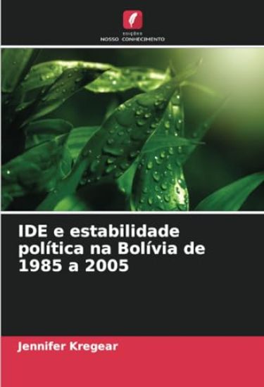 IDE e estabilidade política na Bolívia de 1985 a 2005