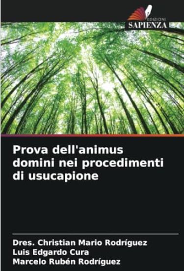 Prova dell'animus domini nei procedimenti di usucapione