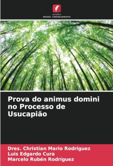 Prova do animus domini no Processo de Usucapião