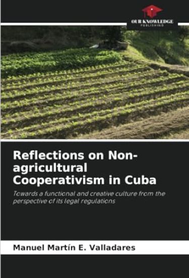 Reflections on Non-agricultural Cooperativism in Cuba
