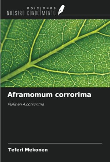 Aframomum corrorima