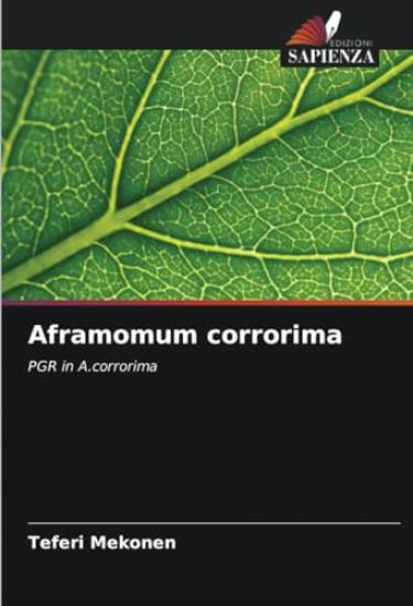 Aframomum corrorima