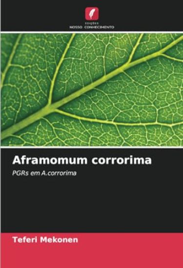 Aframomum corrorima