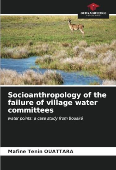 Socioanthropology of the failure of village water committees