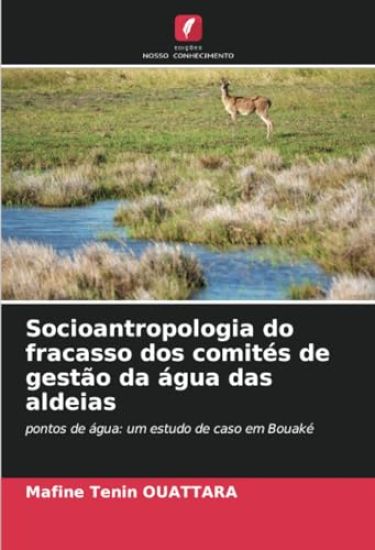 Socioantropologia do fracasso dos comités de gestão da água das aldeias
