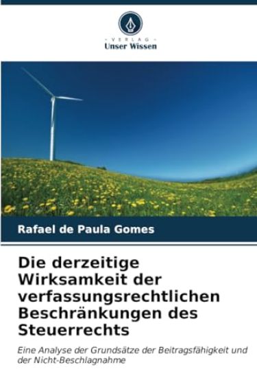 Die derzeitige Wirksamkeit der verfassungsrechtlichen Beschränkungen des Steuerrechts