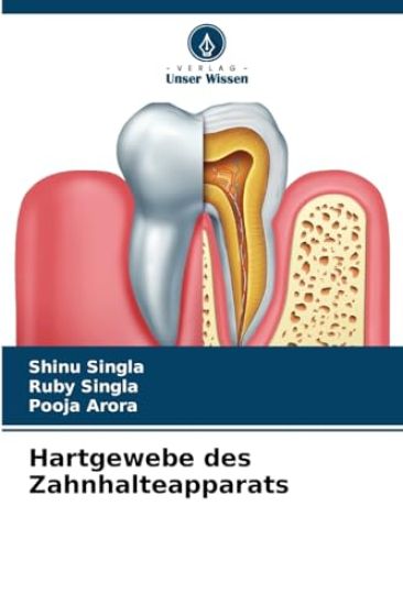 Hartgewebe des Zahnhalteapparats