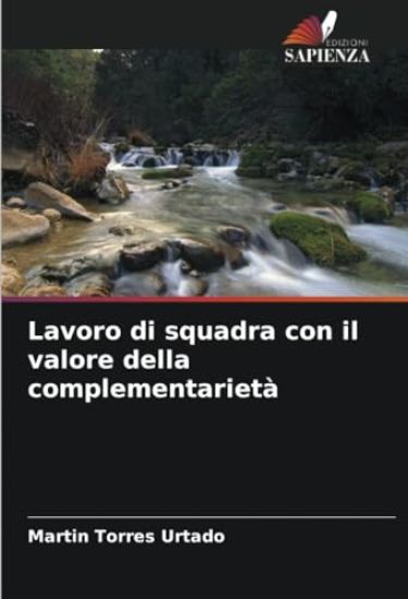 Lavoro di squadra con il valore della complementarietà
