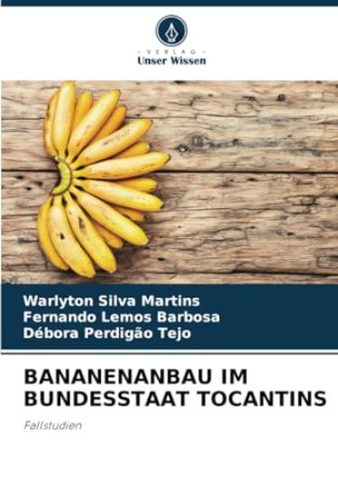 Bananenanbau Im Bundesstaat Tocantins