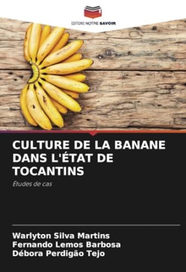 Culture de la Banane Dans l'État de Tocantins