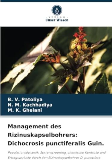 Management des Rizinuskapselbohrers