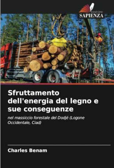 Sfruttamento dell'energia del legno e sue conseguenze
