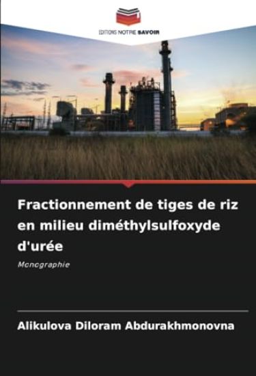 Fractionnement de tiges de riz en milieu diméthylsulfoxyde d'urée