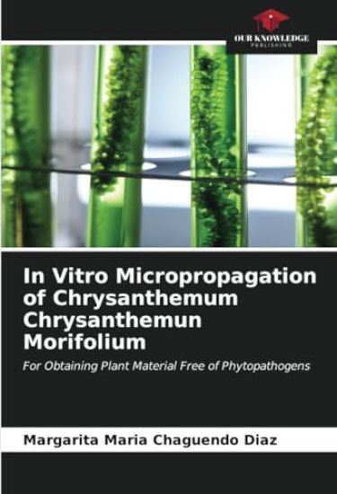 In Vitro Micropropagation of Chrysanthemum Chrysanthemun Morifolium