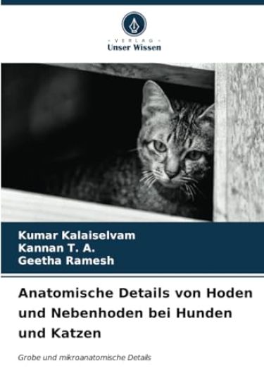 Anatomische Details von Hoden und Nebenhoden bei Hunden und Katzen