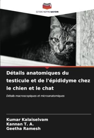 Détails anatomiques du testicule et de l'épididyme chez le chien et le chat