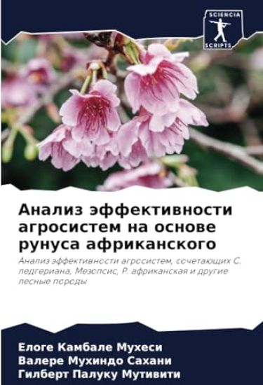 Analiz äffektiwnosti agrosistem na osnowe runusa afrikanskogo