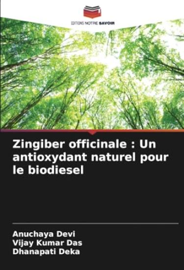 Zingiber officinale