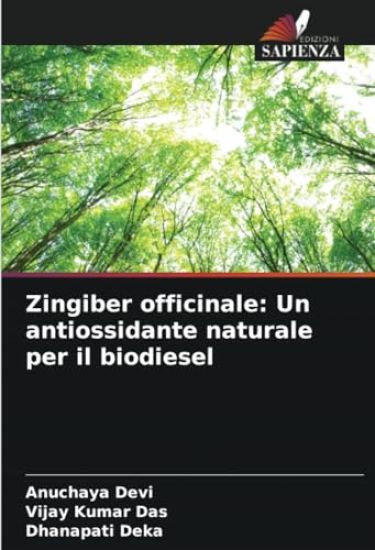 Zingiber officinale: Un antiossidante naturale per il biodiesel