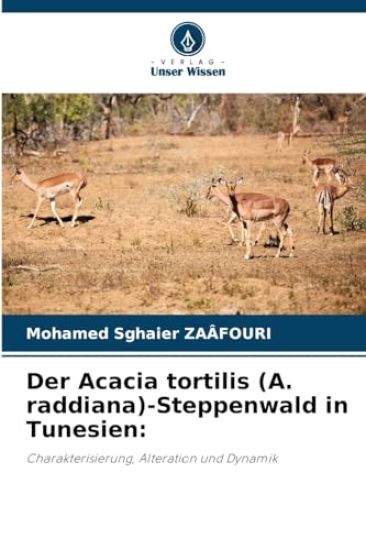 Der Acacia tortilis (A. raddiana)-Steppenwald in Tunesien