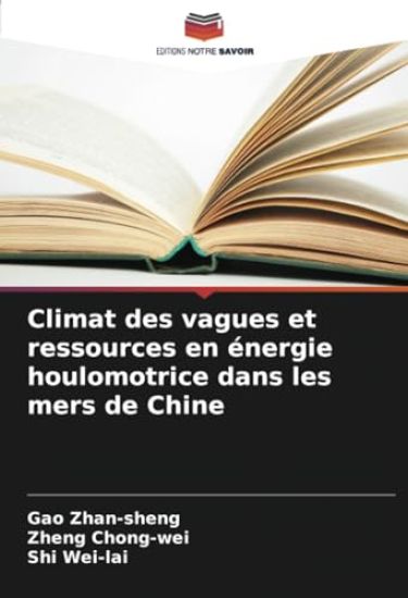 Climat des vagues et ressources en énergie houlomotrice dans les mers de Chine