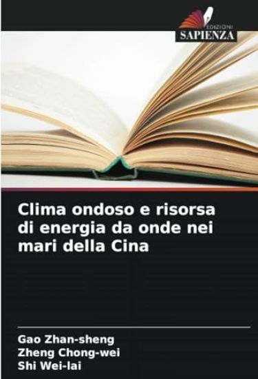 Clima ondoso e risorsa di energia da onde nei mari della Cina