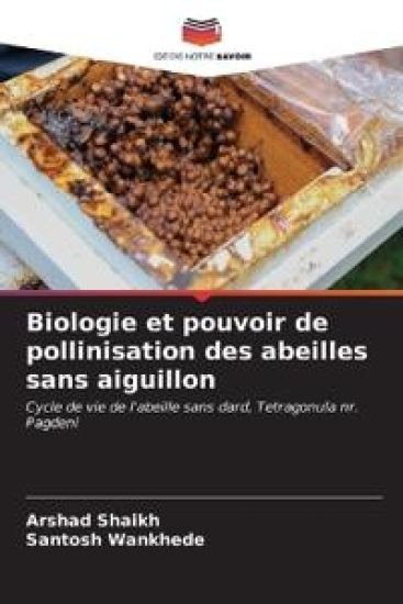 Biologie et pouvoir de pollinisation des abeilles sans aiguillon