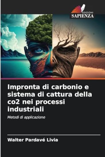 Impronta di carbonio e sistema di cattura della co2 nei processi industriali