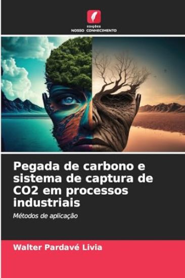 Pegada de carbono e sistema de captura de CO2 em processos industriais