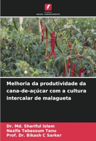 Melhoria da produtividade da cana-de-açúcar com a cultura intercalar de malagueta