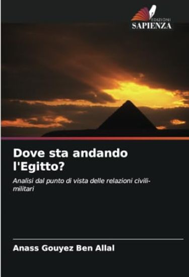 Dove sta andando l'Egitto?
