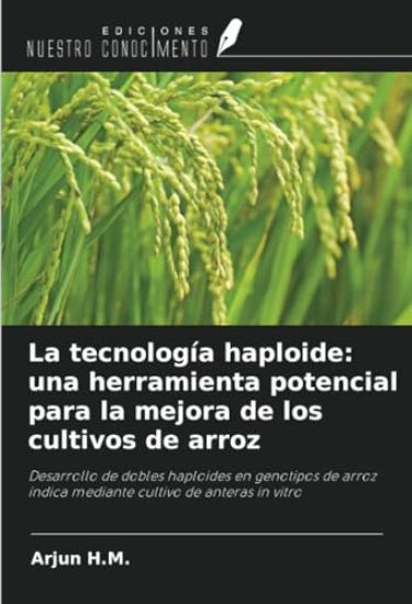 La tecnología haploide: una herramienta potencial para la mejora de los cultivos de arroz