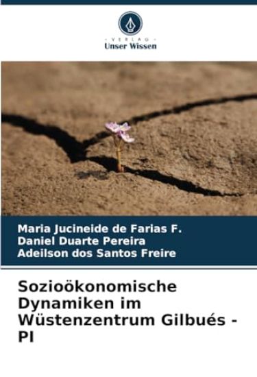 Sozioökonomische Dynamiken im Wüstenzentrum Gilbués - PI