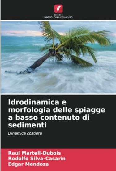 Idrodinamica e morfologia delle spiagge a basso contenuto di sedimenti