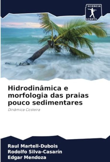 Hidrodinâmica e morfologia das praias pouco sedimentares