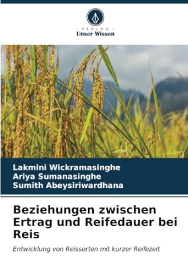 Beziehungen zwischen Ertrag und Reifedauer bei Reis