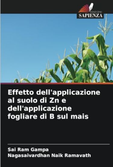 Effetto dell'applicazione al suolo di Zn e dell'applicazione fogliare di B sul mais