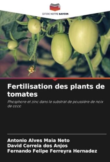 Fertilisation des plants de tomates