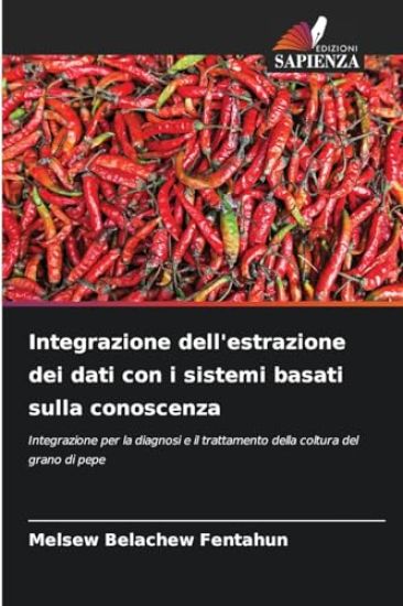 Integrazione dell'estrazione dei dati con i sistemi basati sulla conoscenza