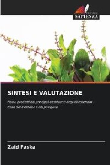 Sintesi E Valutazione