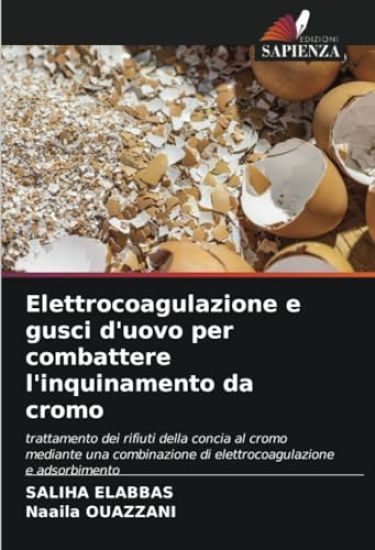 Elettrocoagulazione e gusci d'uovo per combattere l'inquinamento da cromo